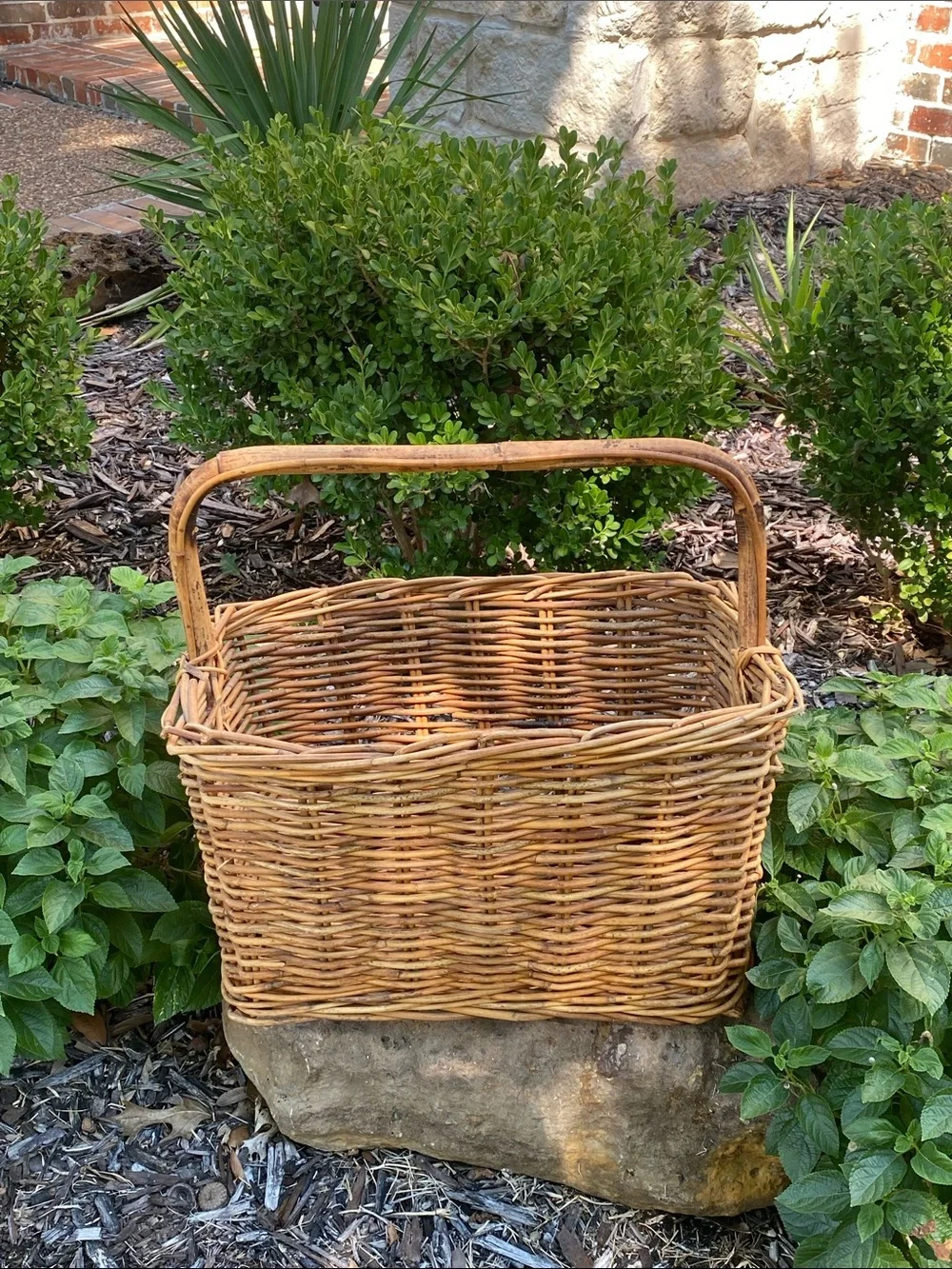 Vintage Woven Rattan Gathering Basket with Bamboo Handle in Natural Brown